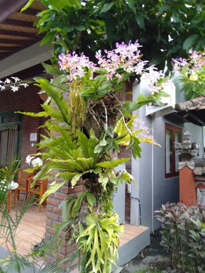 Twins Homestay Canggu Extérieur photo